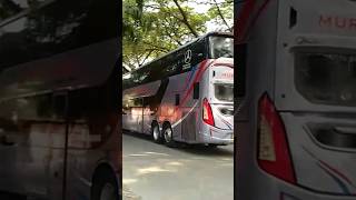 Murni Jaya DDM 202🔥🔥murnijaya ayonaikbus huntingbus busmania busakap fyp fypシ feed shorts [upl. by Lednem]