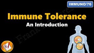 Immune tolerance  An introduction FLImmuno76 [upl. by Notnef]