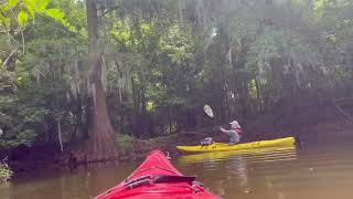 Upper White Oak amp Quarry Lakes Paddle [upl. by Rida302]