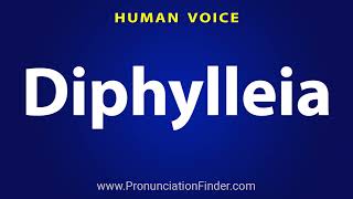 How To Pronounce Diphylleia [upl. by Trevah]