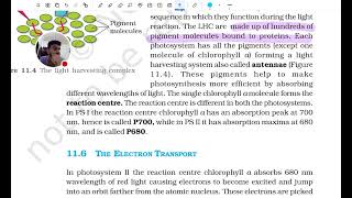 Photosynthesis in higher plants ncert reading section 113 neet ncert listen studywithme [upl. by Schaffel]