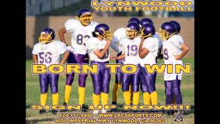 Lynwood Jr Knights Gold and Purple [upl. by Anilac]