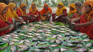 Tilapia Fish Curry  Village Ladies Cutting Huge Tilapia Fish amp Cooking Fish Curry to feed Villagers [upl. by Goss]