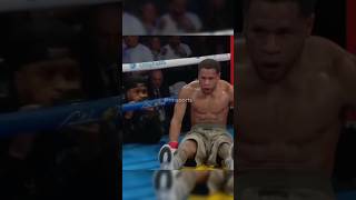 Devin Haney all Knocked Downs King Ryan 👑 [upl. by Page]