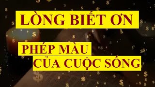 LÒNG BIẾT ƠN  PHÉP MÀU của cuộc sống  Sức mạnh tiềm thức [upl. by Halie]