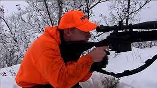 338 Lapua Mag VS Elk at 600 yards Shooting Elk Hunting Utah [upl. by Ingrim144]