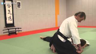 Aikido  Suwari Waza Ikkyo amp Irimi Nage [upl. by Baer96]