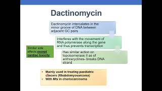 ANTICANCER DRUGS PART 4 CYTOTOXIC ANTIBIOTICS amp PLANT DERIVATIVES [upl. by Ateekan]