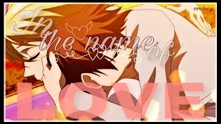 In the Name of Love  Tamaki x Haruhi  AMV [upl. by Cherey]