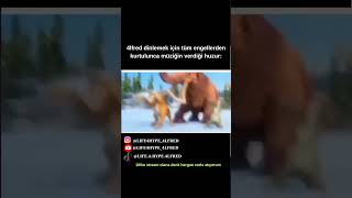 Ice age dance iceage buzdevri cartoon animation animation animationmeme movieclips cartoons [upl. by Kajdan]