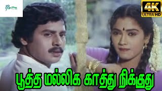 Pootha Malliga Kathu Nikkuthu  பூத்த மல்லிக காத்து நிக்குது SJanaki  H D Solo Song [upl. by Lonnard335]