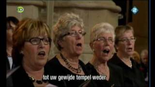 Nederland Zingt Zend Heer Uw licht  Psalm 43 [upl. by Tnayrb]