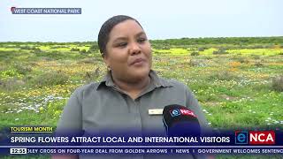 Tourism Month  Spring flowers attract local and international visitors [upl. by Garlanda]