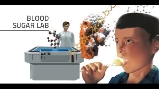 Labster Virtual Lab Blood Sugar Simulation [upl. by Sherwynd]