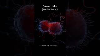 Cancer cell metastasis Animation [upl. by Eseela]