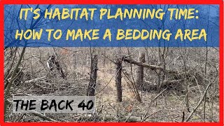 Habitat Planning 6 How to Make a Deer Bedding Area on Your Property [upl. by Ahsilyt]