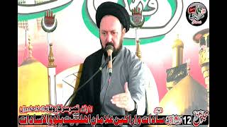 Allama Ali Hussain Madni 12 Rabi ul Awal 2024 ImamBargah Qasr e Sarkar Wafa Pallo Wala Sadat Lodhran [upl. by Kreit538]