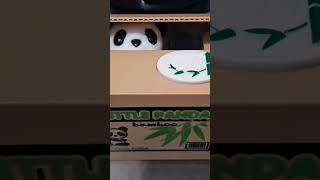 Panda Fun Stealing Money shorts panda coinbank [upl. by Ahseal]