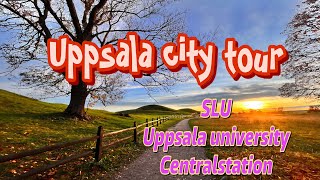 ස්වීඩනයේ උප්සාලා නගරය වටේ රවුමක්  A bicycle tour around the Uppsala city  SLUUppsala university [upl. by Ancelin909]