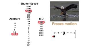 How to Pick the Best Aperture Shutter Speed and ISO Settings with John Greengo  CreativeLive [upl. by Sladen]