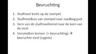 Bs 3  Bevruchting Thema 7  Bloemen vruchten zaden [upl. by Shelby898]