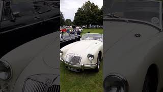 A SUPERB MG A EXHIBITED AT NEWBY HALL HISTORIC VEHICLE RALLY IN 2O24 [upl. by Nwahsud]