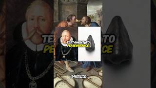 WHY WOULD ANYONE LOSE THEIR NOSE OVER MATH TYCHO BRAHES STORY history facts [upl. by Einimod561]