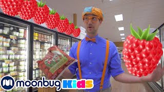 Blippi visita una fábrica de frambuesas  Blippi Españo  Aprende Colores y Objetos [upl. by Macintyre]