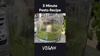 Delicious Dairyfree Basil Pesto Recipe  Perfect Vegan Sauce For Meatless Pasta [upl. by Lahcear537]