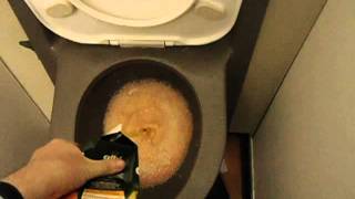 FLUSHING WITCHS BREW OF LIQUIDS DOWN BOEING AIRPLANE TOILET  VACUUM FLUSH LAVATORY FUNNY FLIGHT [upl. by Dixon823]