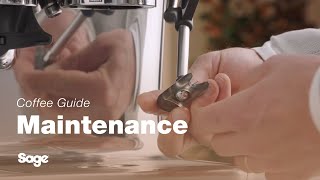 The Barista Pro™  Clean and unblock your steam wand for perfection  Sage Appliances UK [upl. by Feldman]