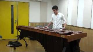 Il Canto dei Gondolieri  NJ Zivkovic  for solo marimba [upl. by Haven585]