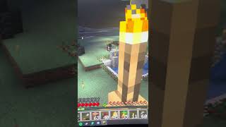 Minecraft skeleton king fight ￼ [upl. by Okimat]