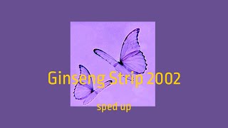 Ginseng Strip 2002  sped up [upl. by Weiman4]