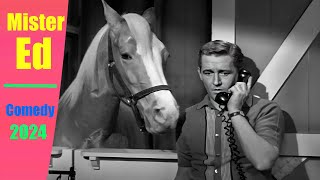 Mister Ed New 2024 🥀🥀🥀 Wilbur in the Lions Den 🥀🥀🥀 Best Mister Ed Comedy Series 2024 [upl. by Nykal]