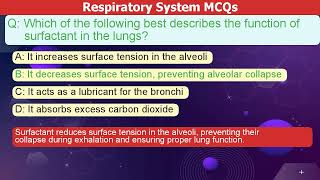 Master the Respiratory System with MCQs 🫁💨 Anatomy Physiology MCQs [upl. by Nawaj]