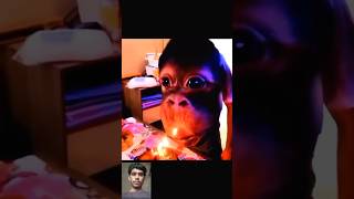 Magician Short Viral Video AI magic Kala animal magicianshortvideos 😱😱 [upl. by Collum]