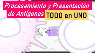 Procesamiento y Presentación de Antígenos  Endocítica Citosólica y Cruzada  TODO en UNO [upl. by Donald]