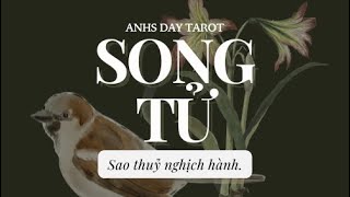 Song Tử  Sao Thuỷ Nghịch Hành Tháng 8 2024 [upl. by Kreiner]