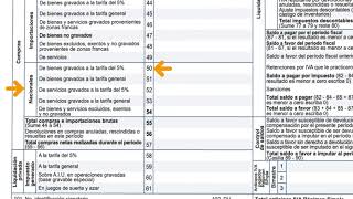 Formulario 300 Declaracion de IVA [upl. by Richy]