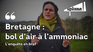 Bretagne  bol dair à lammoniac  lenquête en bref [upl. by Alber]