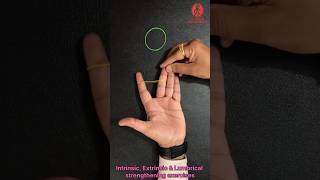 Hand Intrinsic Extrinsic amp Lumbrical muscles strengthening exercises youtubeshorts youtube [upl. by Duvall]