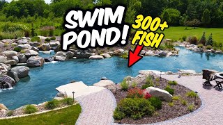 300 Fish in this SWIM POND [upl. by Cosme]