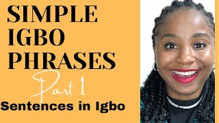 Igbo lesson 9  Learn igbo phrases  short sentences in Igbo language for beginners [upl. by Onateag294]