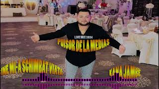 Puisor DLM ❌ Cine Mia Schimbat viata  Kana Jambe ❌ Live Mix 2024 [upl. by Odrarej]