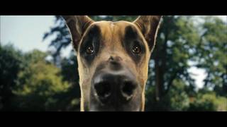 Marmaduke Trailer german HD [upl. by Steffie26]