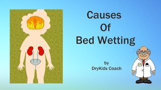 Causes of bed wetting by Coach Peter [upl. by Chelsy677]