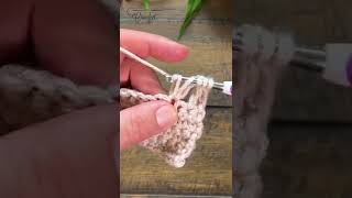 4 Treble Cluster 4 tr cl 🧶 crochet crochetstitches [upl. by Naoma]