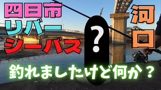 【シーバス】四日市の河口でリバーシーバス！ [upl. by Rebekah]