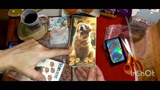 Unboxing cadeaux de linstagrammeuse CocoResinArt ou Coco Art Corinne enveloppesbudgétaires [upl. by Bodrogi]